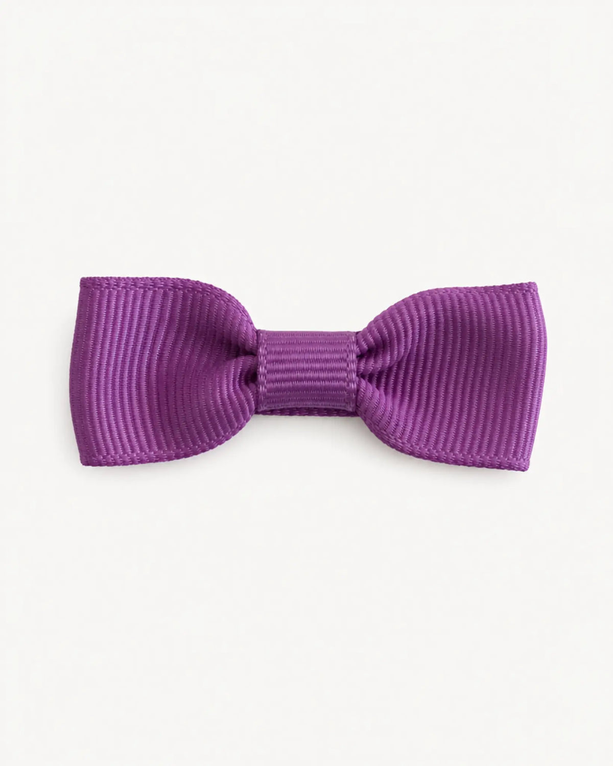 Liten hårrosett, lilac