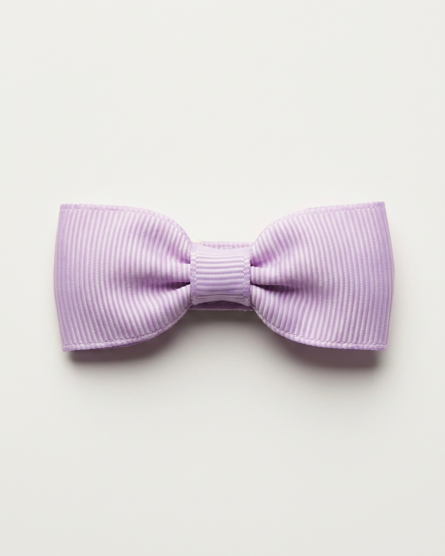 Liten hårrosett, lavender