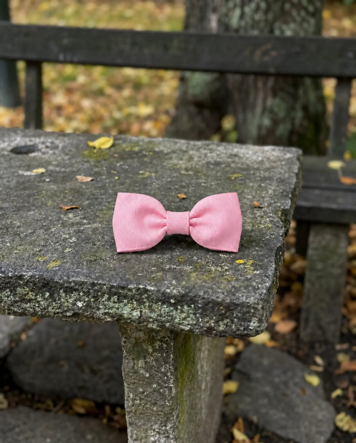 Liten hårrosett, rose pink