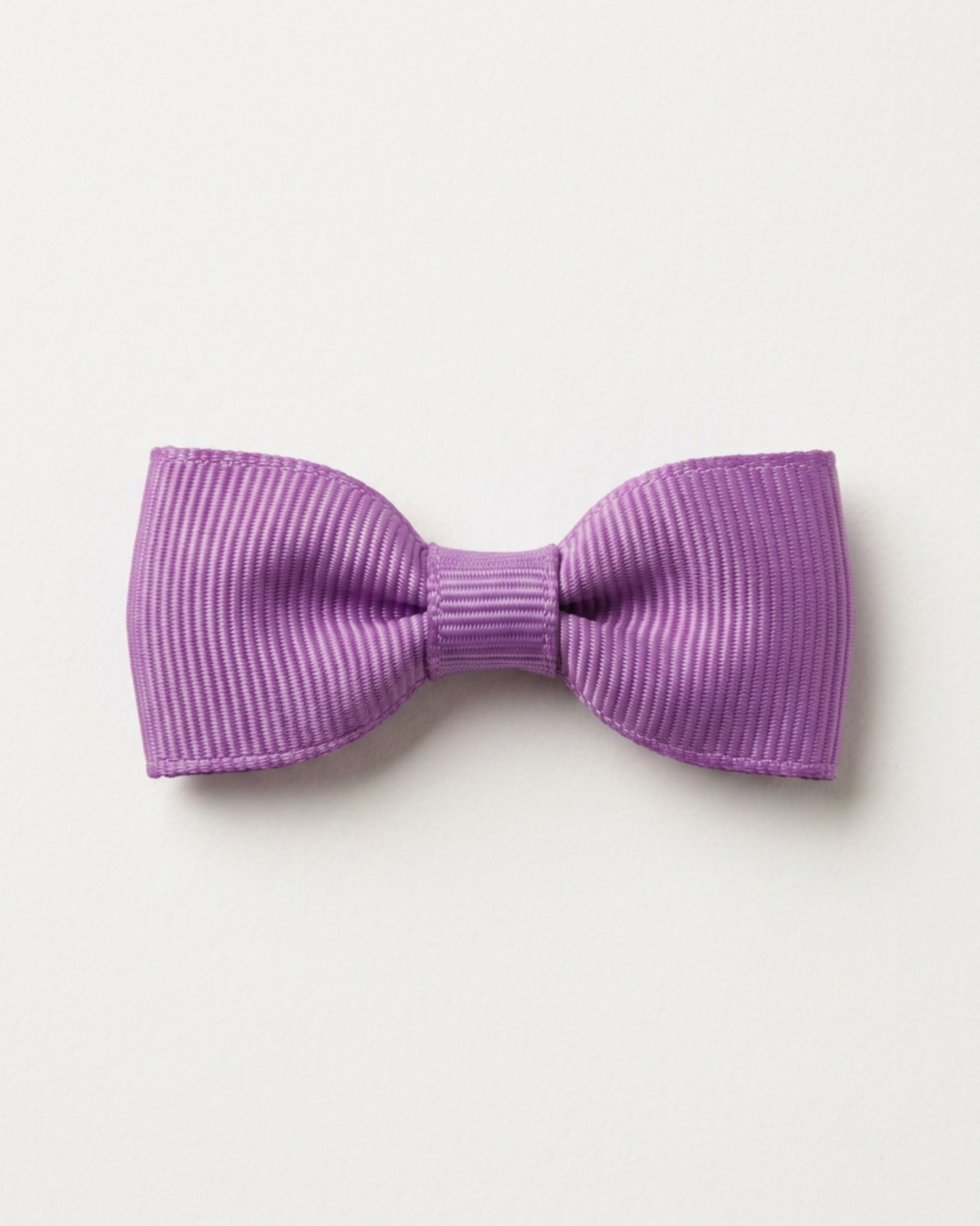 Liten hårrosett, lilac