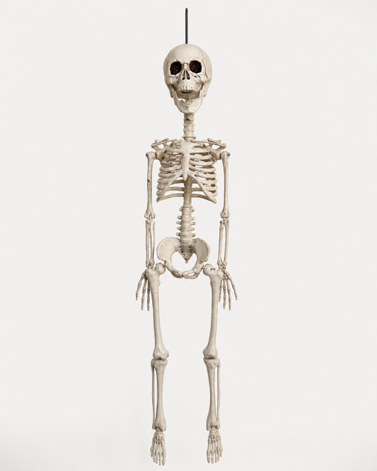 Hängande skelett till Halloween