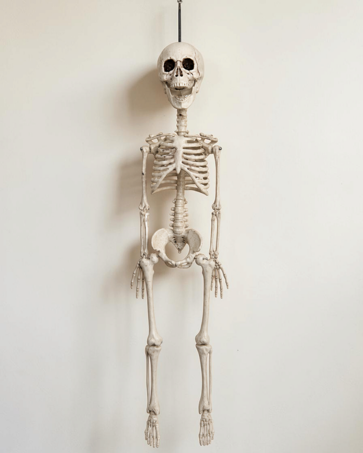 Hängande skelett till Halloween