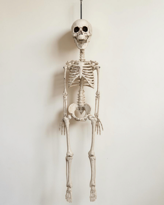 Hängande skelett till Halloween