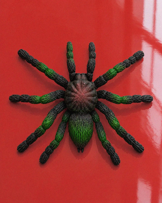 Spindel